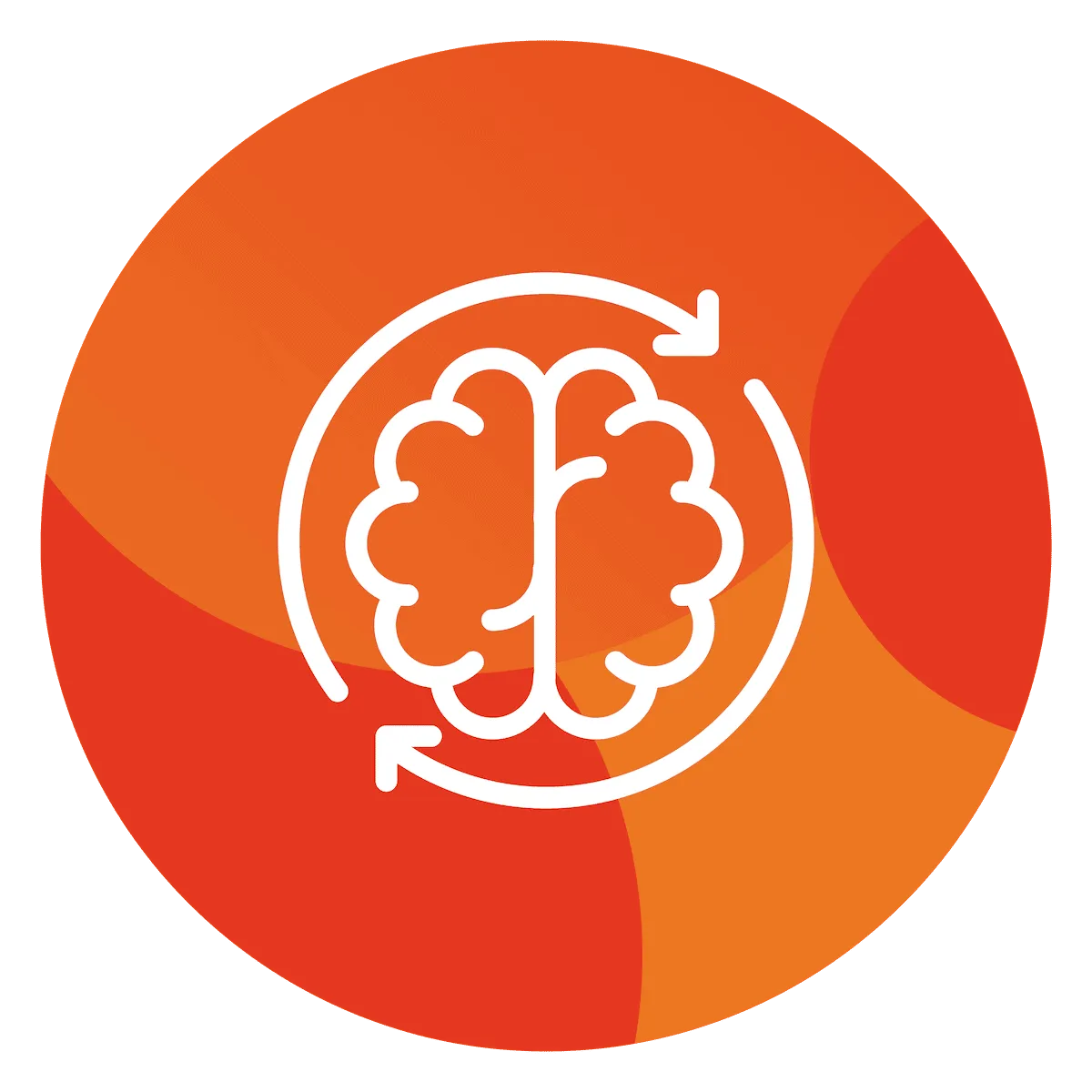 Le cerveau R.E.A.L.